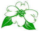 Dogwood01.gif (2942 bytes)