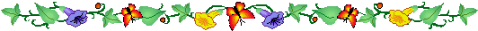 bar29.gif (4720 bytes)